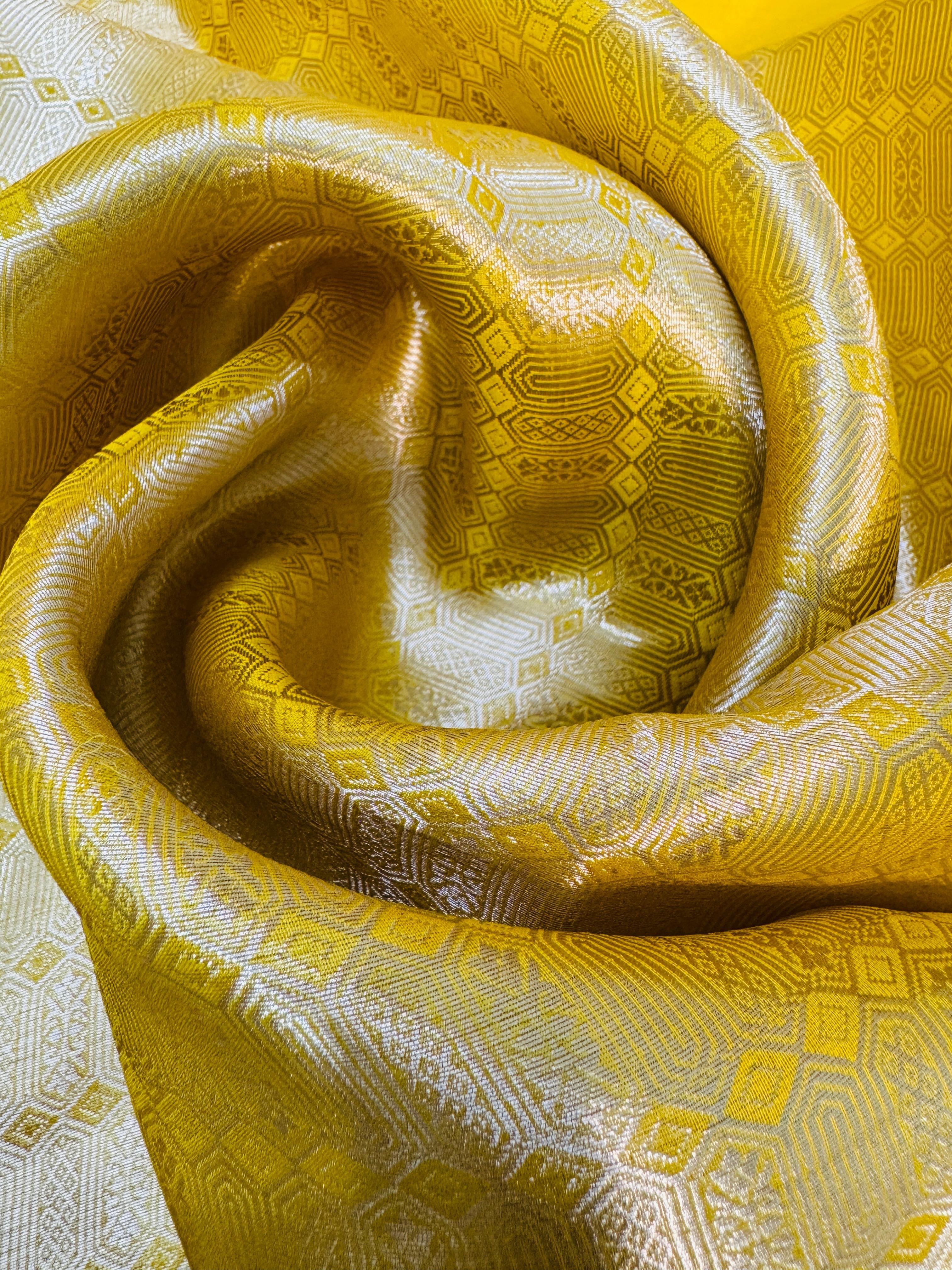 Tissue Brocade Cross Stitch Embroidery Saree